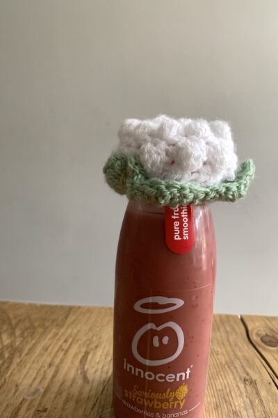 mini hat the big knit